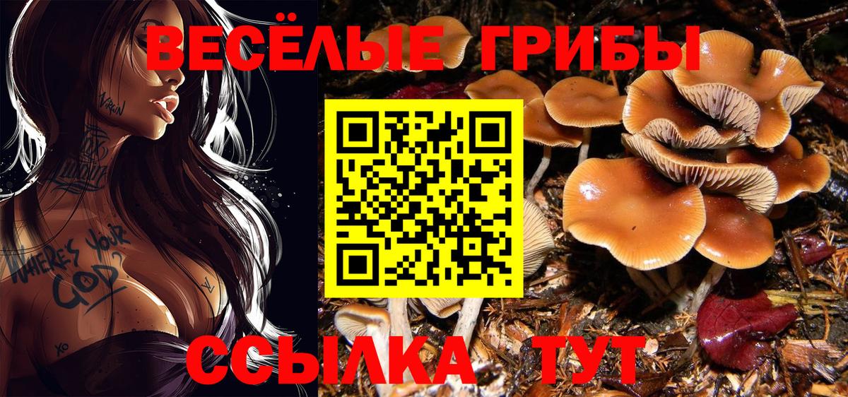 Воскресенск  Галлюциногенные грибы прущие грибы  Вход с VPN 